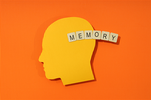 Arma di Taggia, iniziato il corso "Memory Traning" al Centro Anziani: 10 lezioni per allenare la memoria e tutte le facoltà cognitive
